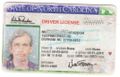 2010 Woozle's driver license-1.redacted.jpg