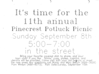 Eleventh Picnic, 1991